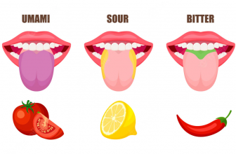 Human Taste